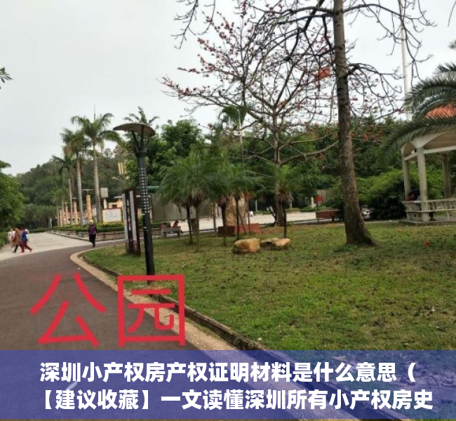 深圳小产权房产权证明材料是什么意思（【建议收藏】一文读懂深圳所有小产权房史的产证类别）