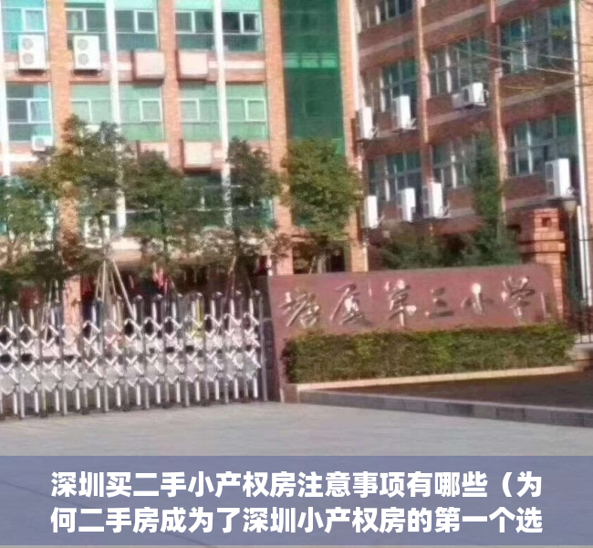 深圳买二手小产权房注意事项有哪些（为何二手房成为了深圳小产权房的第一个选择呢？）
