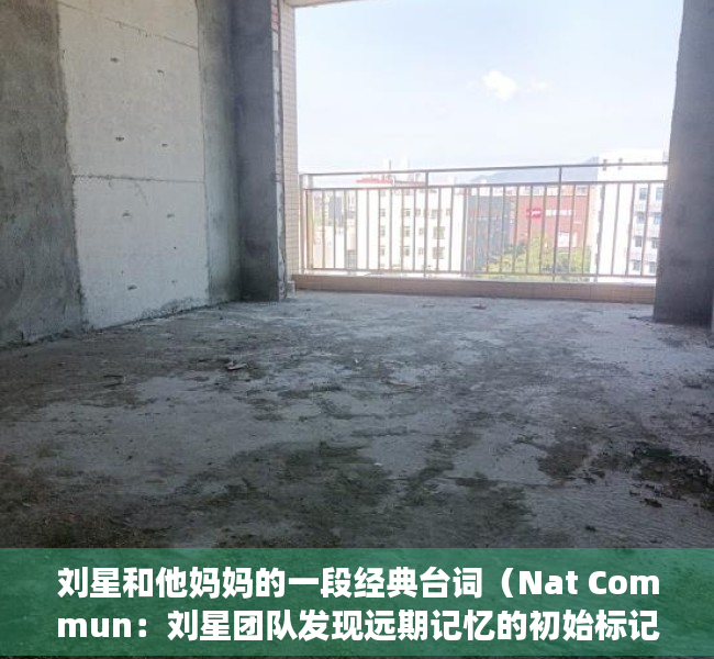 刘星和他妈妈的一段经典台词（Nat Commun：刘星团队发现远期记忆的初始标记和长期存储新机制）