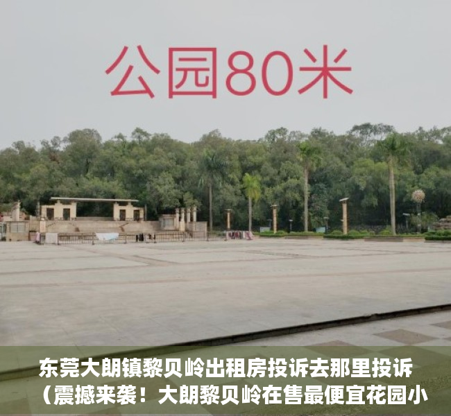 东莞大朗镇黎贝岭出租房投诉去那里投诉（震撼来袭！大朗黎贝岭在售最便宜花园小产权房-村委统建楼）