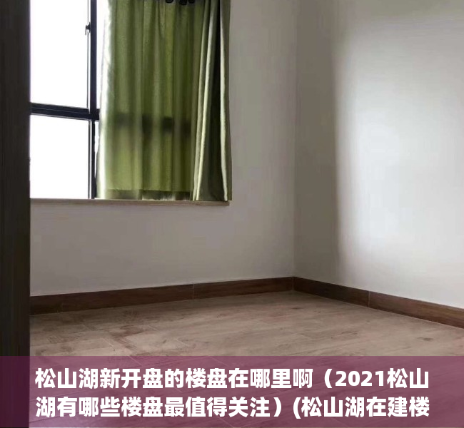 松山湖新开盘的楼盘在哪里啊（2021松山湖有哪些楼盘最值得关注）(松山湖在建楼盘2020)