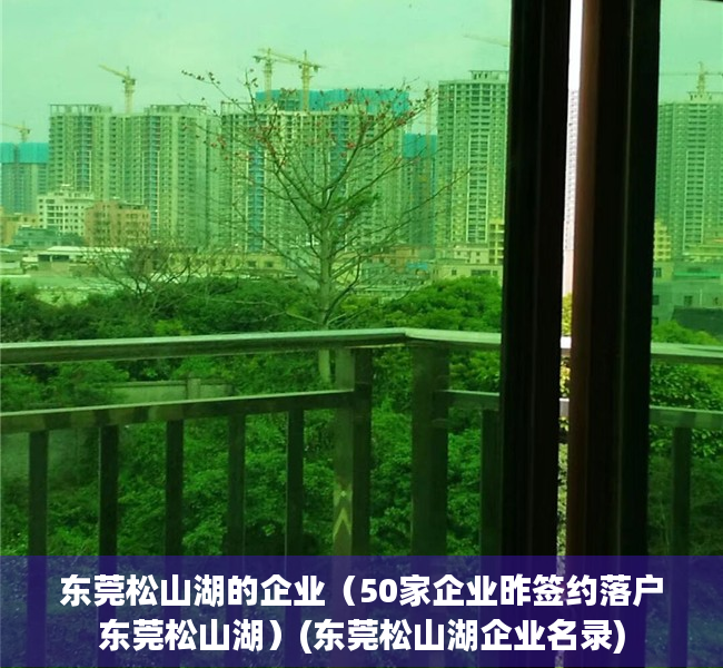 东莞松山湖的企业（50家企业昨签约落户东莞松山湖）(东莞松山湖企业名录)