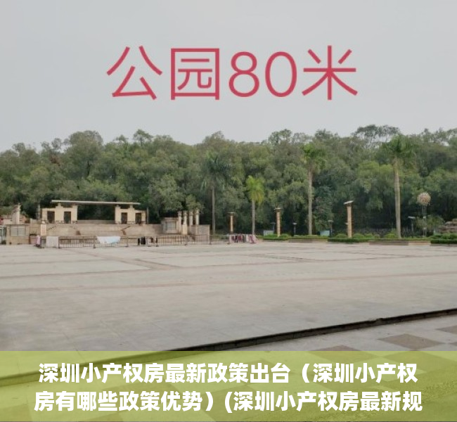 深圳小产权房最新政策出台（深圳小产权房有哪些政策优势）(深圳小产权房最新规定)
