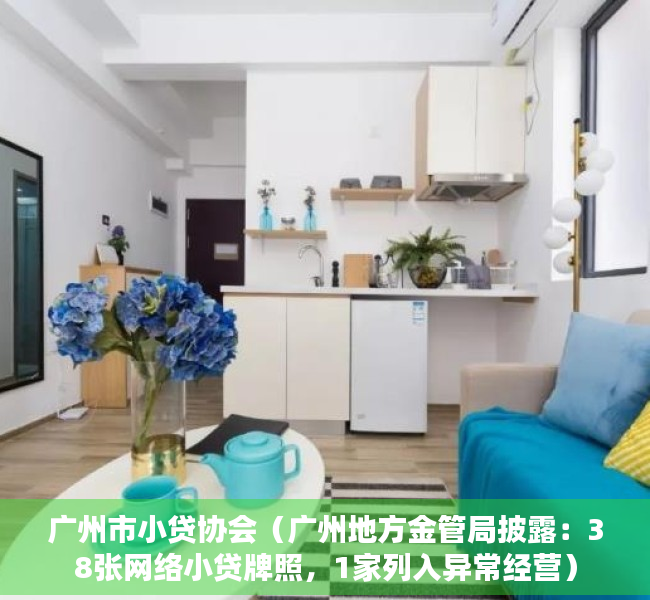广州市小贷协会（广州地方金管局披露：38张网络小贷牌照，1家列入异常经营）