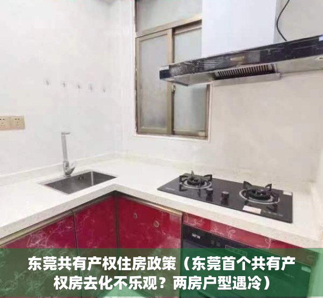 东莞共有产权住房政策（东莞首个共有产权房去化不乐观？两房户型遇冷）
