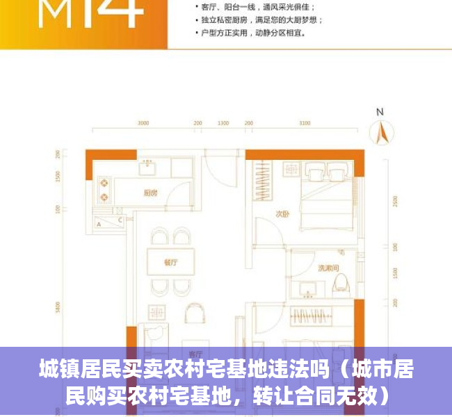 城镇居民买卖农村宅基地违法吗（城市居民购买农村宅基地，转让合同无效）