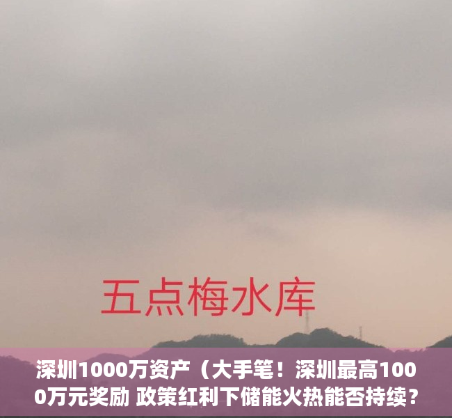 深圳1000万资产（大手笔！深圳最高1000万元奖励 政策红利下储能火热能否持续？）