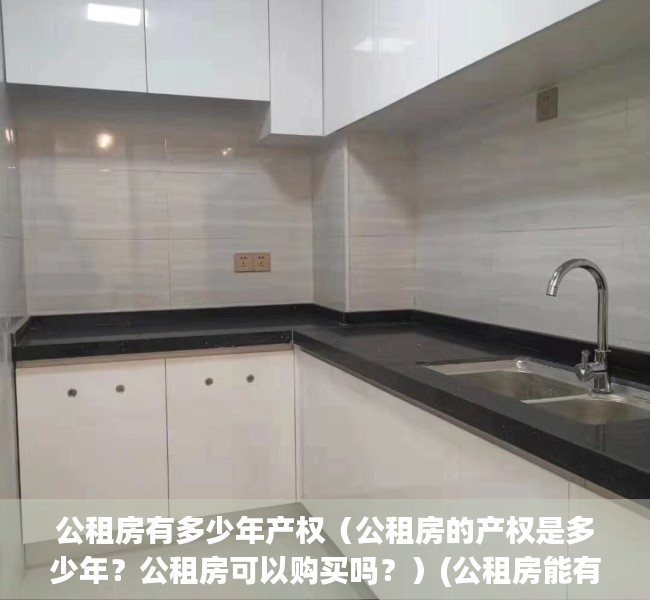 公租房有多少年产权（公租房的产权是多少年？公租房可以购买吗？）(公租房能有多大)