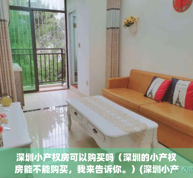 深圳小产权房可以购买吗（深圳的小产权房能不能购买，我来告诉你。）(深圳小产权的房子可以买吗)