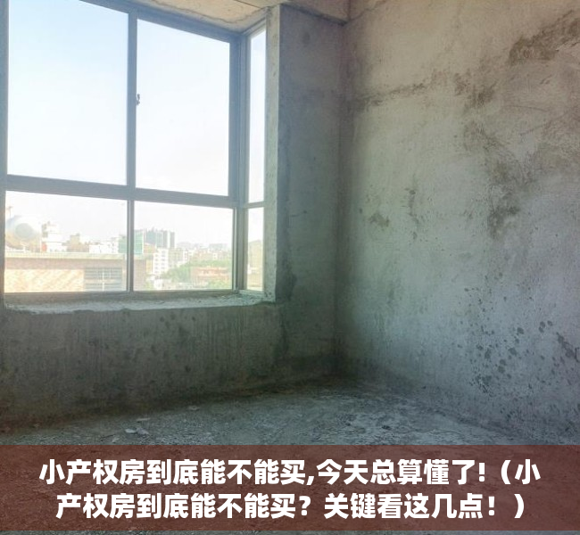 小产权房到底能不能买,今天总算懂了!（小产权房到底能不能买？关键看这几点！）