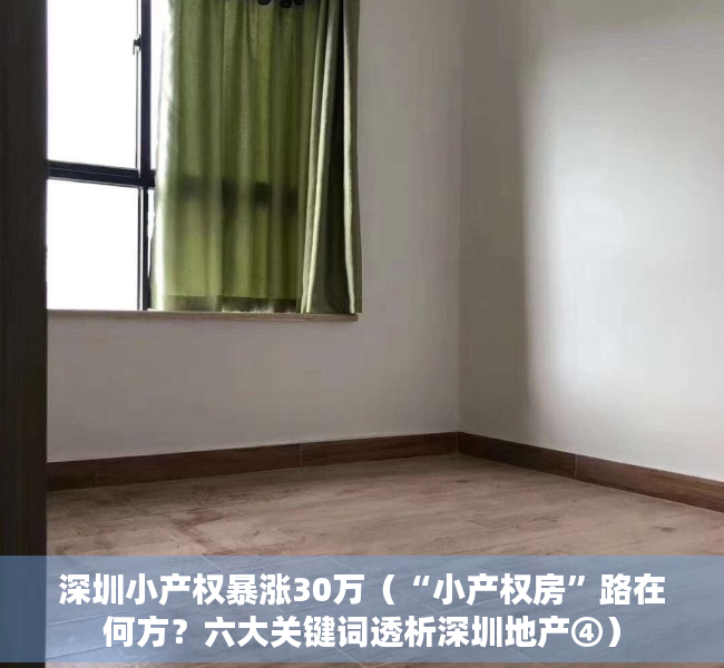 深圳小产权暴涨30万（“小产权房”路在何方？六大关键词透析深圳地产④）