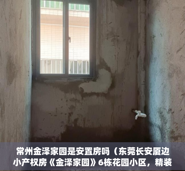 常州金泽家园是安置房吗（东莞长安厦边小产权房《金泽家园》6栋花园小区，精装交房，分8年）