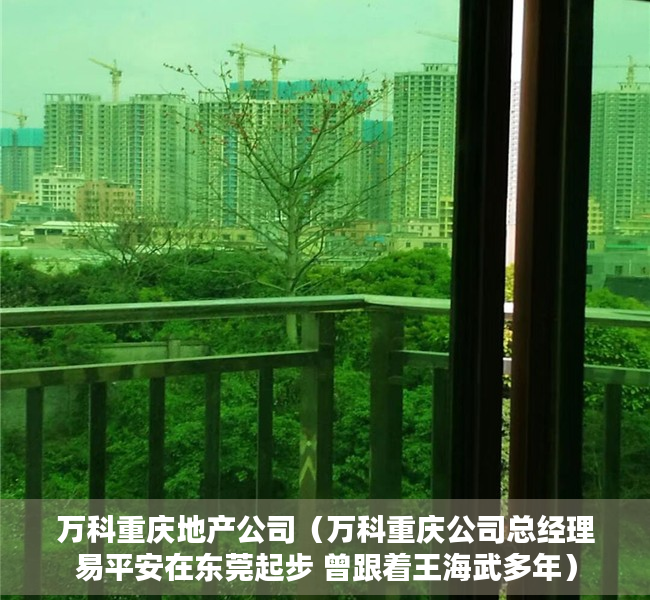 万科重庆地产公司（万科重庆公司总经理易平安在东莞起步 曾跟着王海武多年）