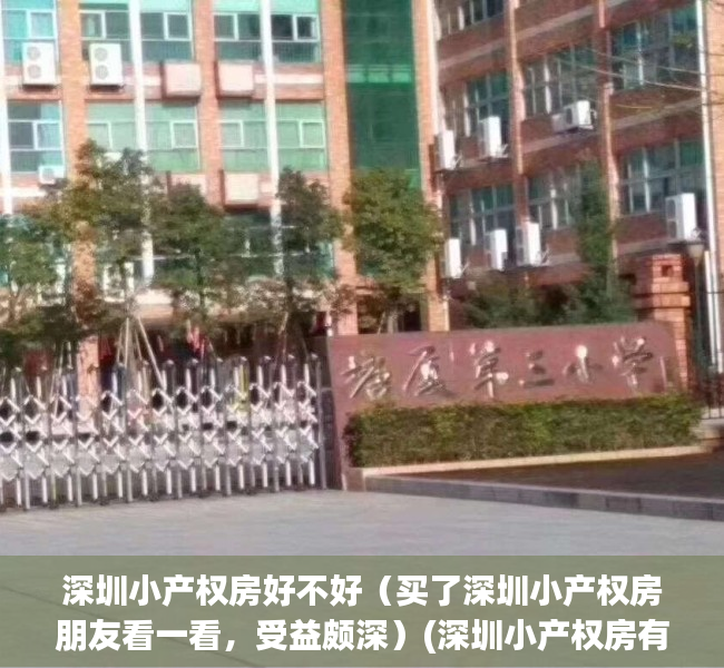 深圳小产权房好不好（买了深圳小产权房朋友看一看，受益颇深）(深圳小产权房有什么弊端)