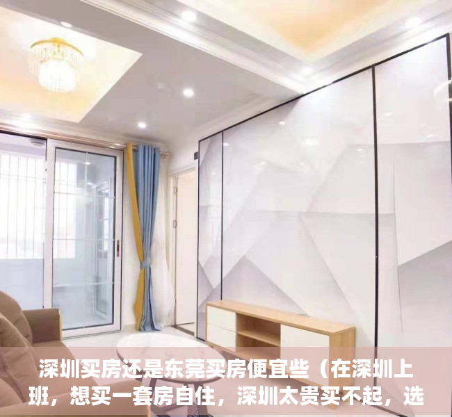 深圳买房还是东莞买房便宜些（在深圳上班，想买一套房自住，深圳太贵买不起，选东莞塘厦小产权房可好？）