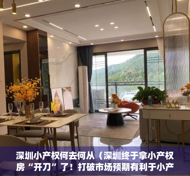 深圳小产权何去何从（深圳终于拿小产权房“开刀”了！打破市场预期有利于小产权房降温）