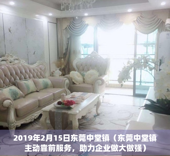 2019年2月15日东莞中堂镇（东莞中堂镇主动靠前服务，助力企业做大做强）