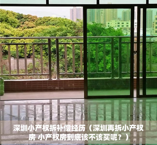 深圳小产权拆补偿经历（深圳再拆小产权房 小产权房到底该不该买呢？）