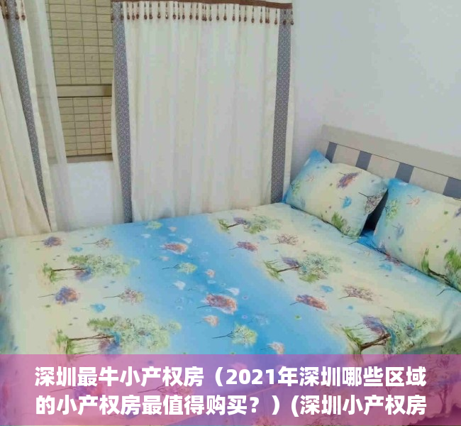 深圳最牛小产权房（2021年深圳哪些区域的小产权房最值得购买？）(深圳小产权房大全)