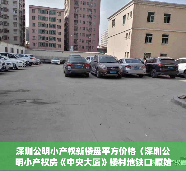 深圳公明小产权新楼盘平方价格（深圳公明小产权房《中央大厦》楼村地铁口 原始大户型 698万起）