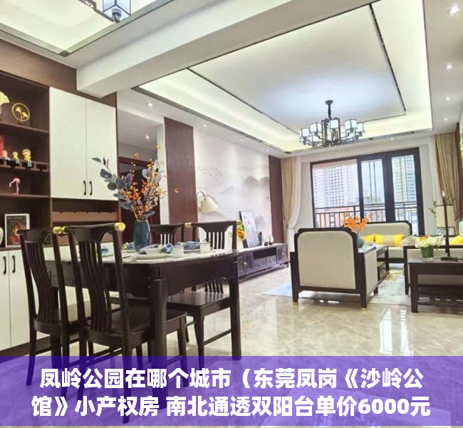 凤岭公园在哪个城市（东莞凤岗《沙岭公馆》小产权房 南北通透双阳台单价6000元）
