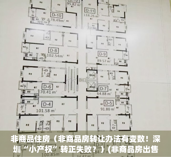 非商品住房（非商品房转让办法有变数！深圳“小产权”转正失败？）(非商品房出售的条件)