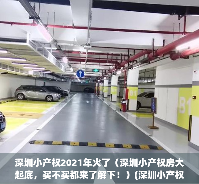 深圳小产权2021年火了（深圳小产权房大起底，买不买都来了解下！）(深圳小产权房最新政策2021房价)