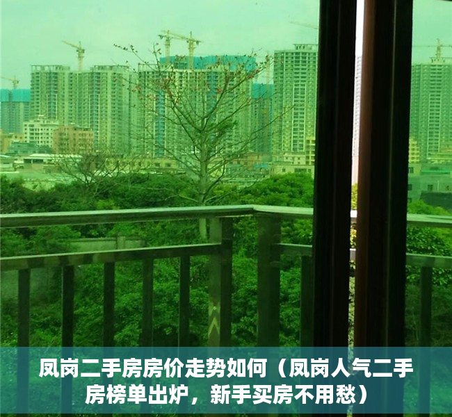 凤岗二手房房价走势如何（凤岗人气二手房榜单出炉，新手买房不用愁）