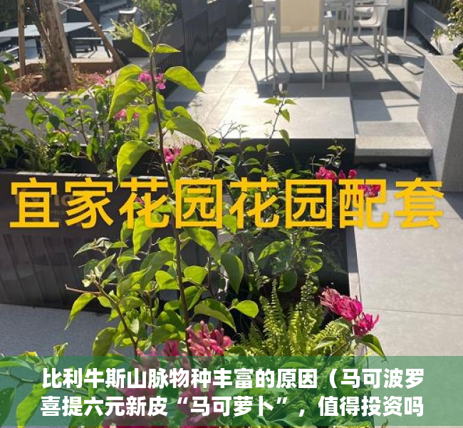 比利牛斯山脉物种丰富的原因（马可波罗喜提六元新皮“马可萝卜”，值得投资吗？）