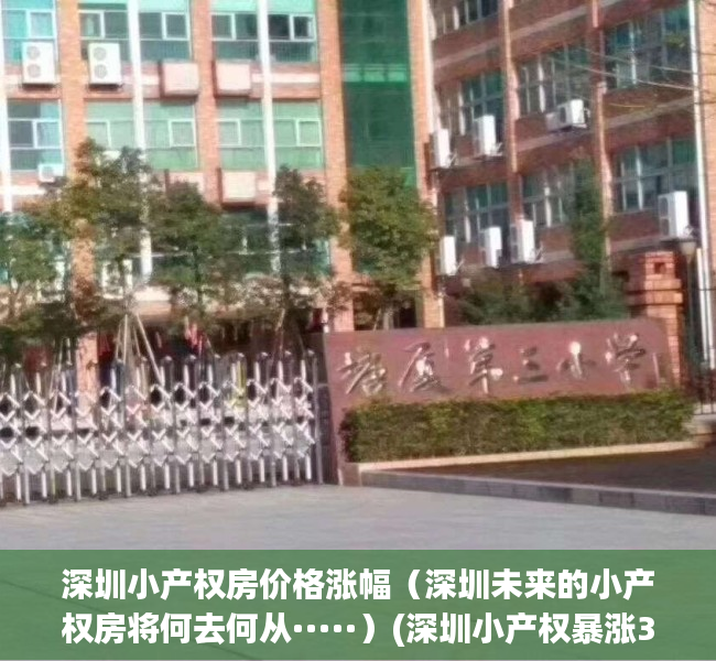 深圳小产权房价格涨幅（深圳未来的小产权房将何去何从·····）(深圳小产权暴涨30%)