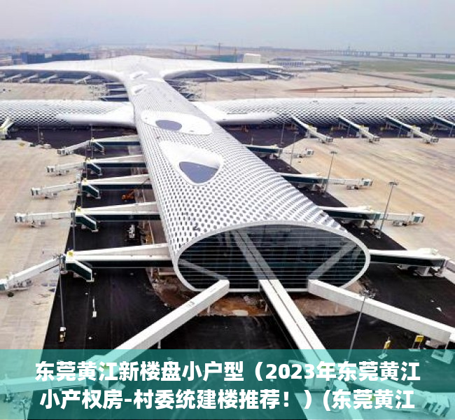 东莞黄江新楼盘小户型（2023年东莞黄江小产权房-村委统建楼推荐！）(东莞黄江小产权房有风险吗)