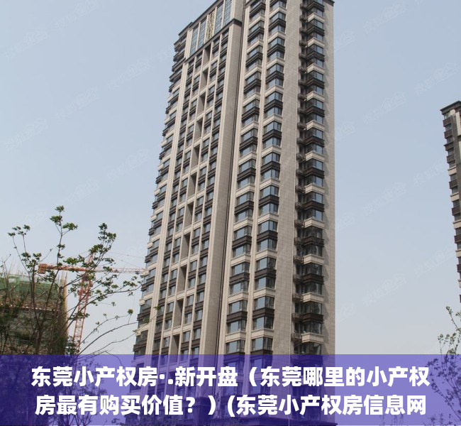 东莞小产权房·.新开盘（东莞哪里的小产权房最有购买价值？）(东莞小产权房信息网)