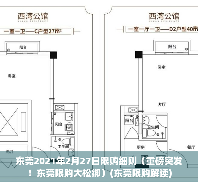 东莞2021年2月27日限购细则（重磅突发！东莞限购大松绑）(东莞限购解读)