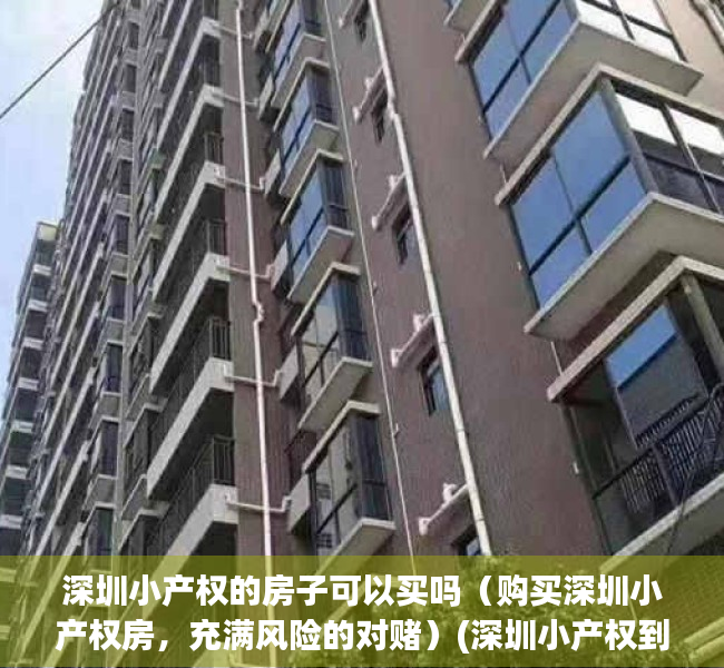 深圳小产权的房子可以买吗（购买深圳小产权房，充满风险的对赌）(深圳小产权到底可以买吗)