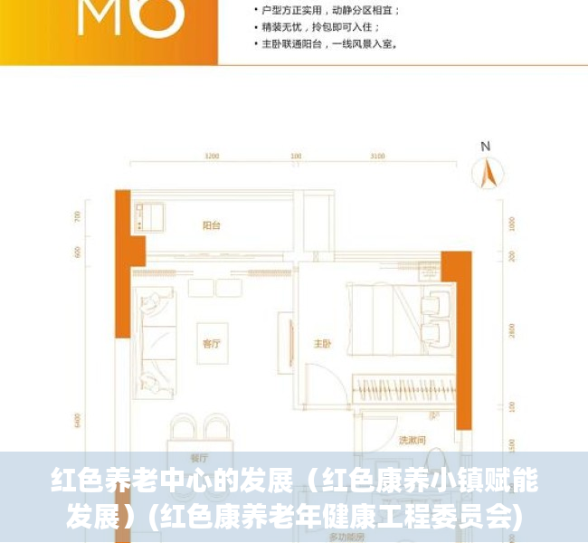 红色养老中心的发展（红色康养小镇赋能发展）(红色康养老年健康工程委员会)