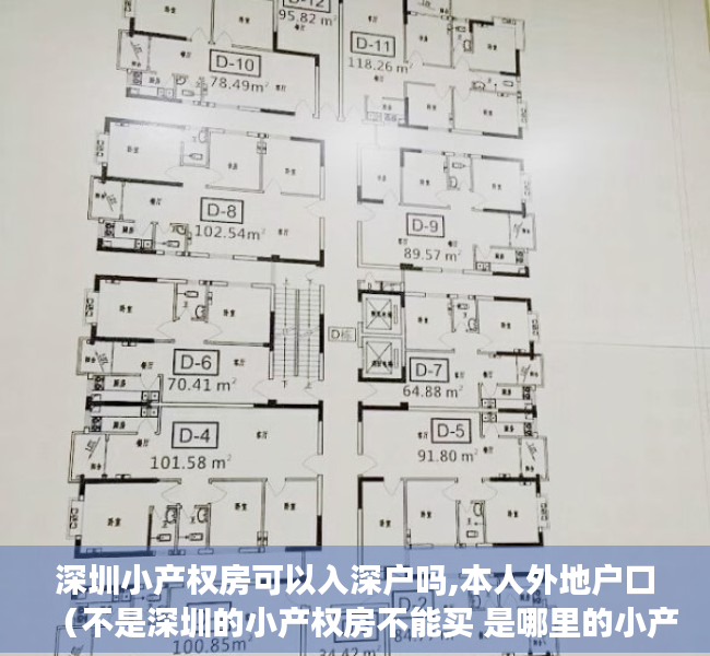 深圳小产权房可以入深户吗,本人外地户口（不是深圳的小产权房不能买 是哪里的小产权房都不能买）