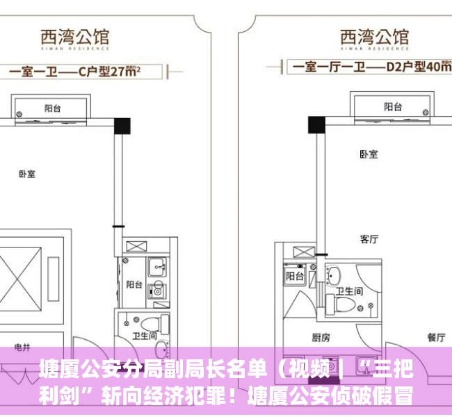 塘厦公安分局副局长名单（视频｜“三把利剑”斩向经济犯罪！塘厦公安侦破假冒知名手机、热水器系列案）