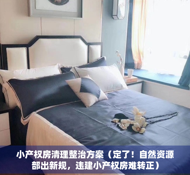 小产权房清理整治方案（定了！自然资源部出新规，违建小产权房难转正）
