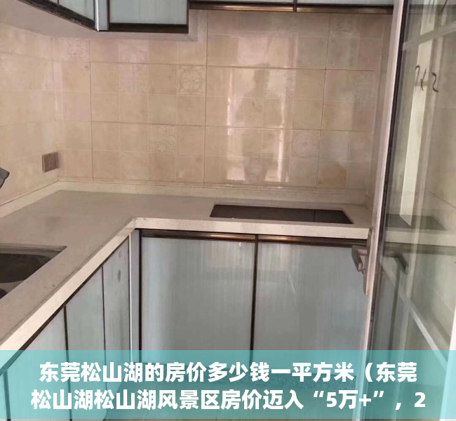 东莞松山湖的房价多少钱一平方米（东莞松山湖松山湖风景区房价迈入“5万+”，2月第3周最贵的小区均价超过7万平）