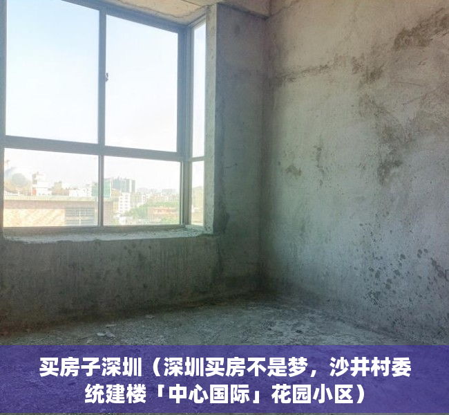 买房子深圳（深圳买房不是梦，沙井村委统建楼「中心国际」花园小区）