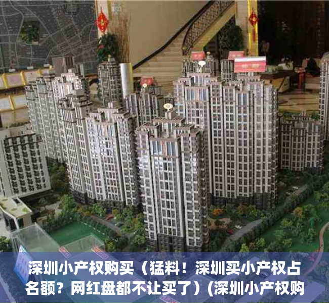 深圳小产权购买（猛料！深圳买小产权占名额？网红盘都不让买了）(深圳小产权购买条件)