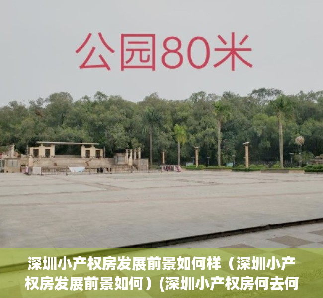 深圳小产权房发展前景如何样（深圳小产权房发展前景如何）(深圳小产权房何去何从)