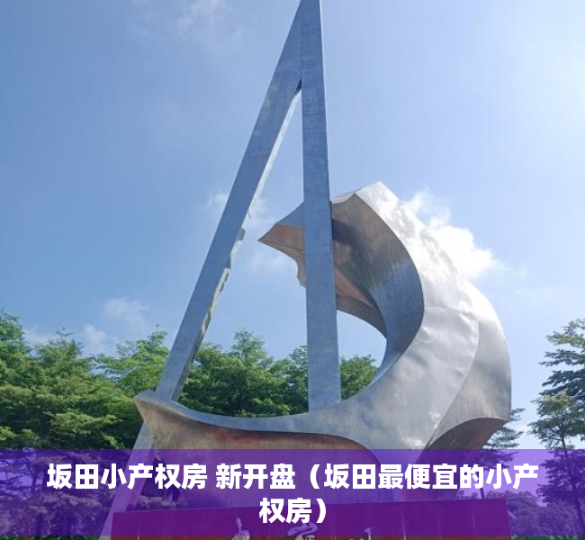 坂田小产权房 新开盘（坂田最便宜的小产权房）