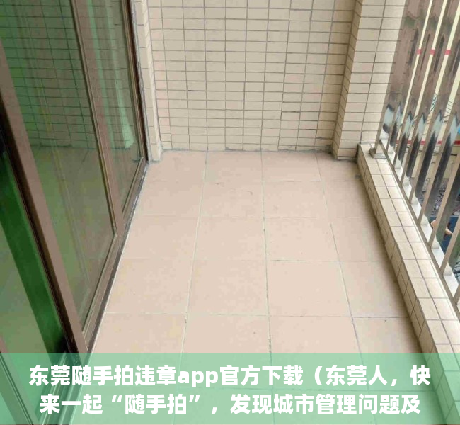东莞随手拍违章app官方下载（东莞人，快来一起“随手拍”，发现城市管理问题及时办）