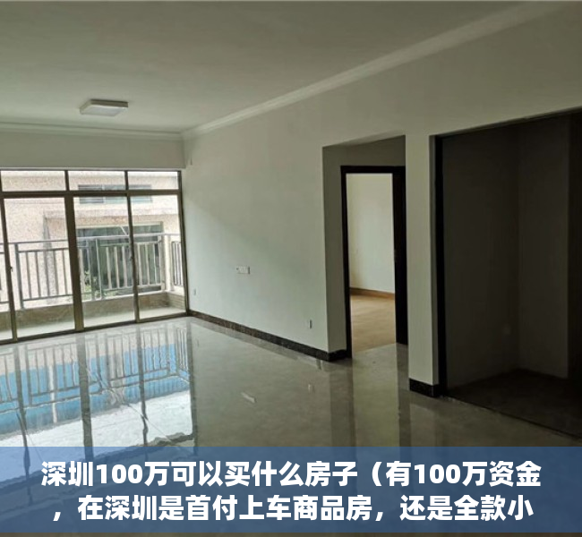 深圳100万可以买什么房子（有100万资金，在深圳是首付上车商品房，还是全款小产权房？）