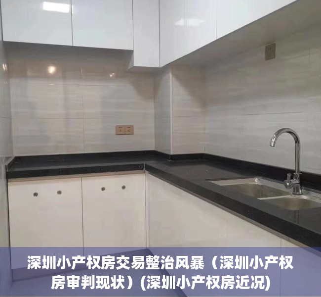深圳小产权房交易整治风暴（深圳小产权房审判现状）(深圳小产权房近况)