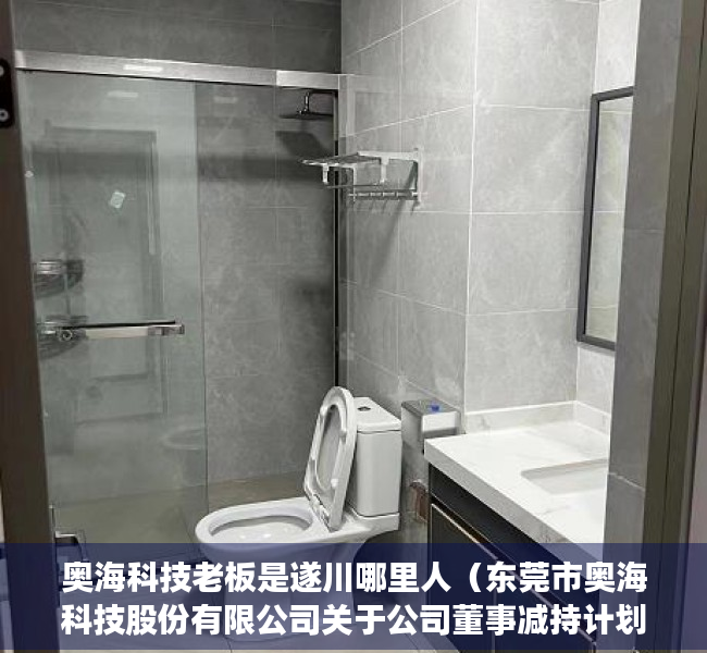 奥海科技老板是遂川哪里人（东莞市奥海科技股份有限公司关于公司董事减持计划期限届满的公告）