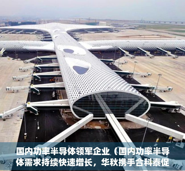 国内功率半导体领军企业（国内功率半导体需求持续快速增长，华秋携手合科泰促发展）