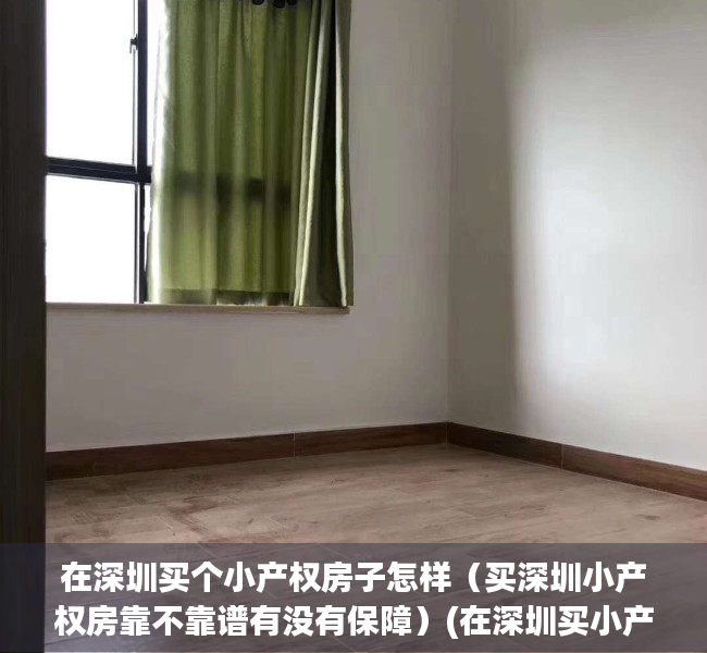 在深圳买个小产权房子怎样（买深圳小产权房靠不靠谱有没有保障）(在深圳买小产权房的现在怎么样了)