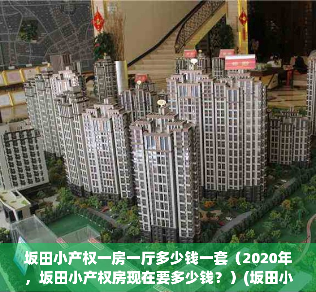 坂田小产权一房一厅多少钱一套（2020年，坂田小产权房现在要多少钱？）(坂田小产权房价格如何)